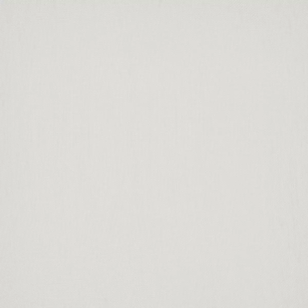 Tagvorhang Mousseline weiss