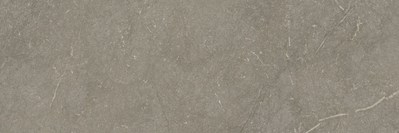 Jabo Munich Taupe wandtegel 40x120cm gerectificeerd