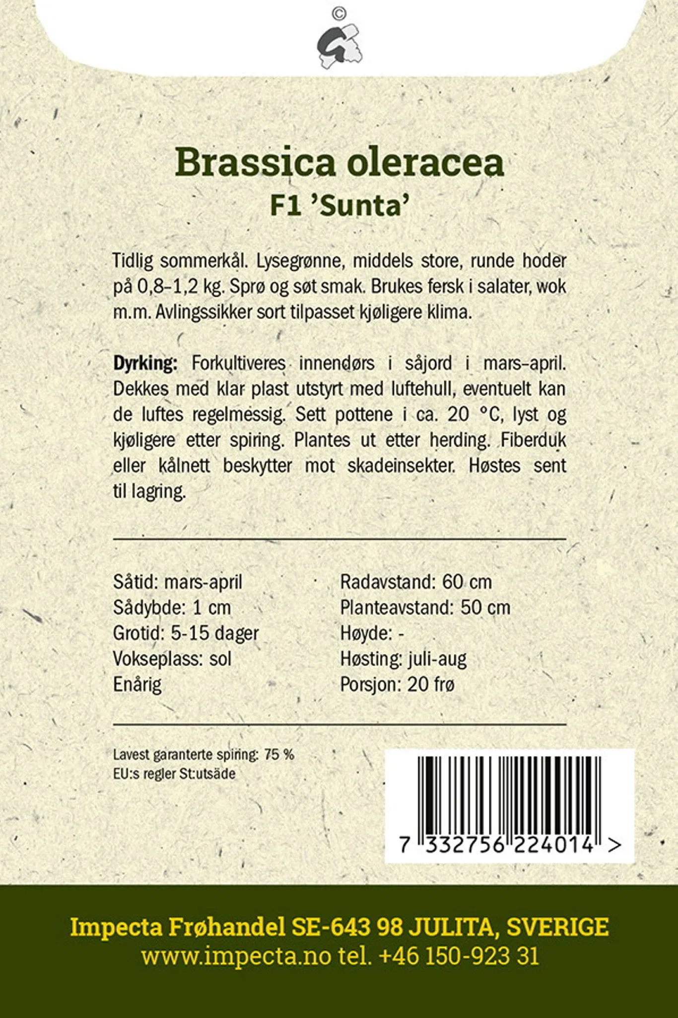 Brassica oleracea F1 'Sunta' Hvitkål F1 'Sunta'