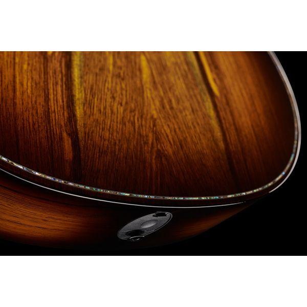 Taylor Builder's Edition 914ce