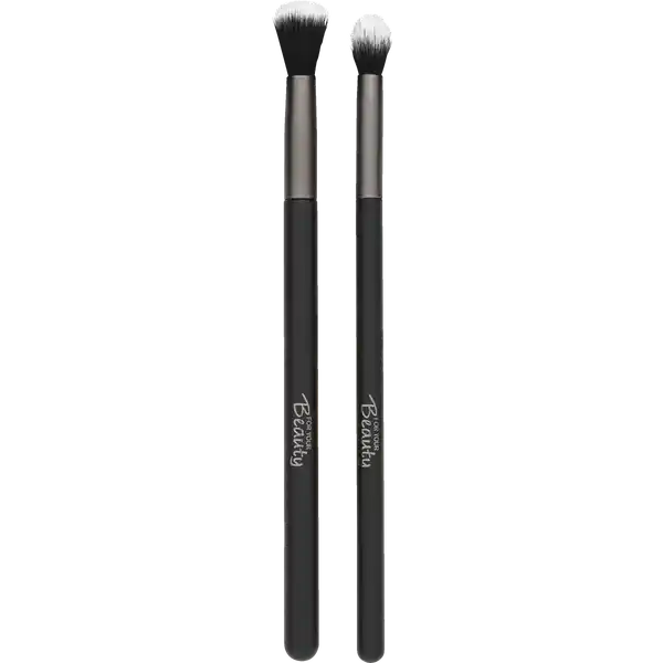 Professional Blender Pinsel Duo