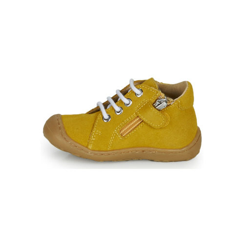 GBB - FREDDO - Jaune