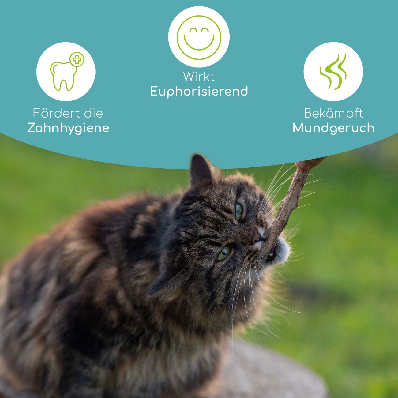 Wolfsbacher Natur Minzesticks