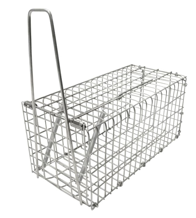 Rottefælde, galvaniseret