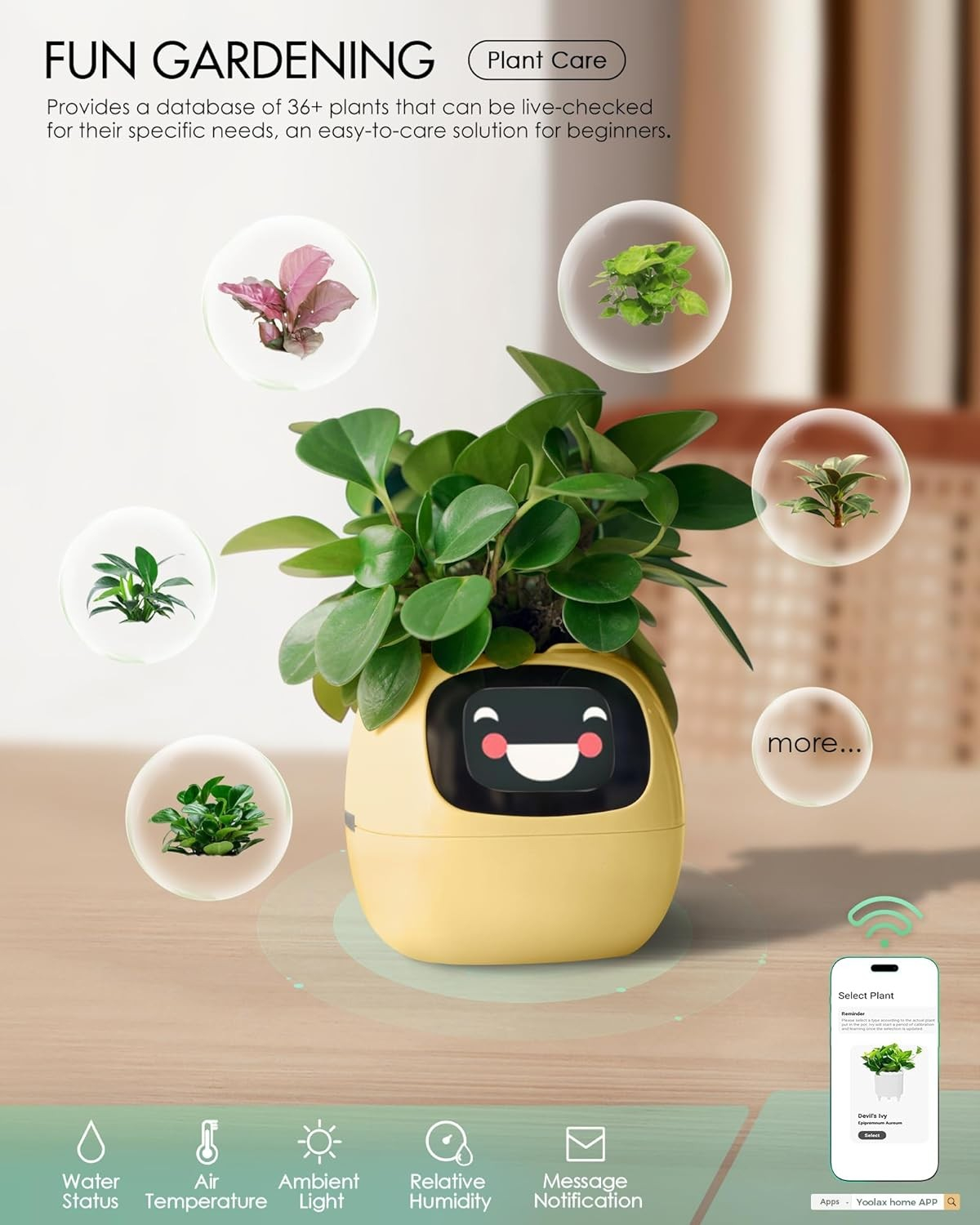 (9x9cm) Intelligenter Mini USB Blumentopf Home Deko Pflanzen Übertopf mit 40 Emotionen / LCD Display inkl. Kieselsteine (iOS/Android) - Ivy / Gelb
