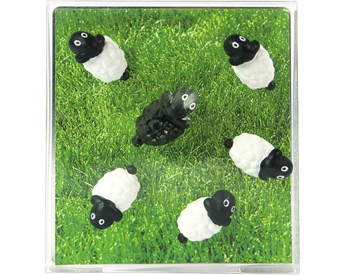 Decoratieve schaapmagneten, set van 6, wit/zwart