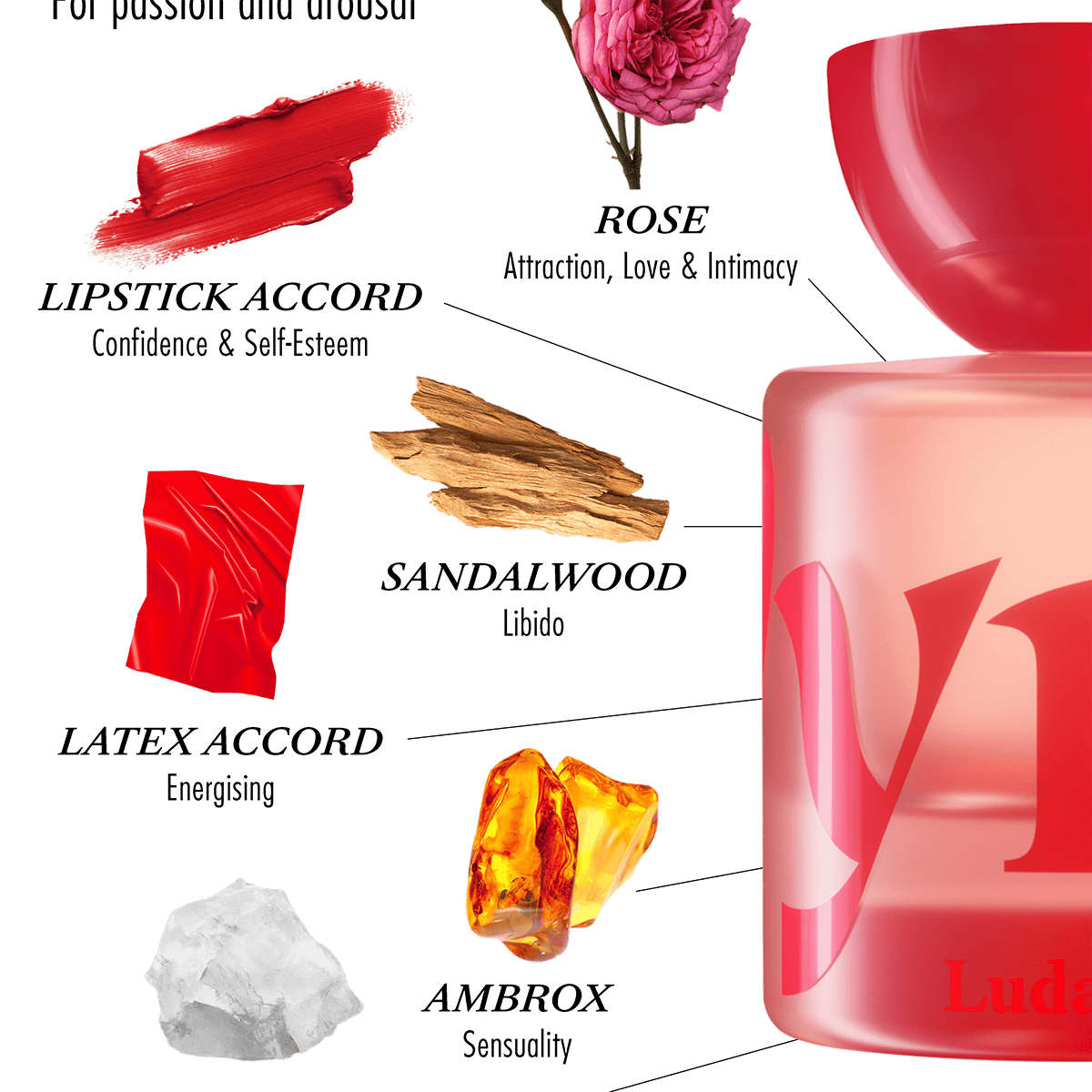 Ludatrix Eau de Parfum 50ml