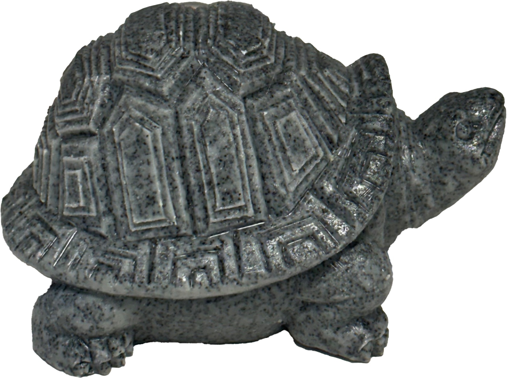Eco Deco schildpad