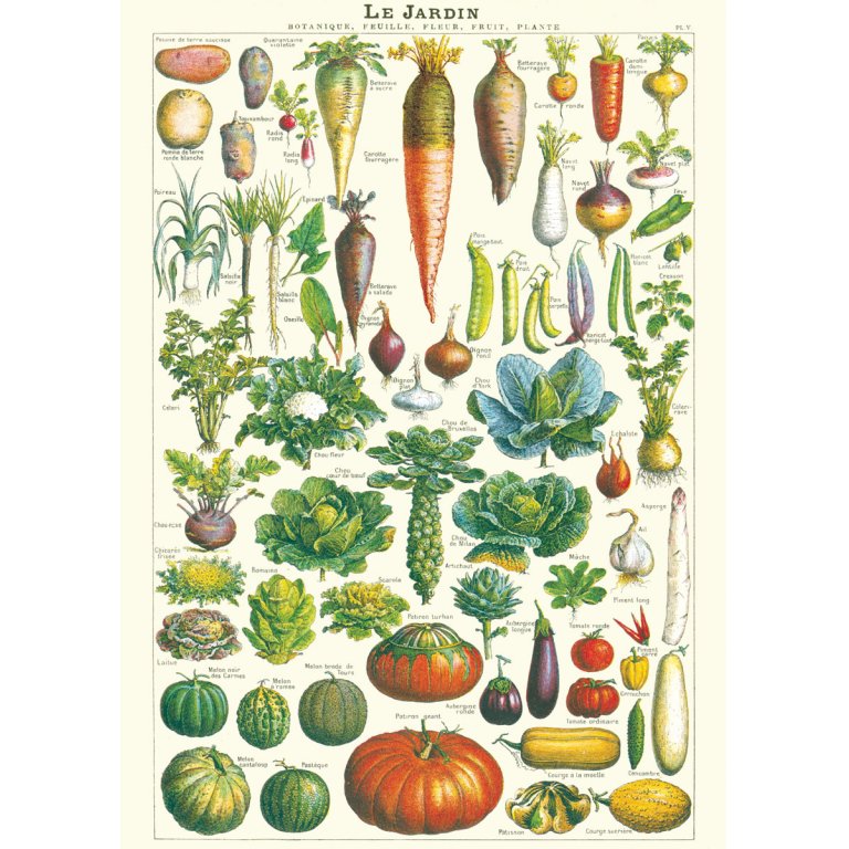 Cavallini Geschenkpapier/Poster