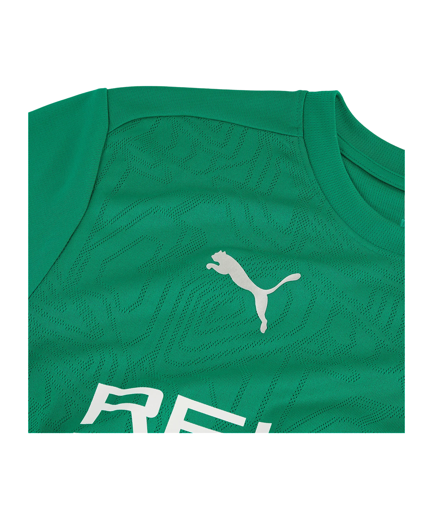PUMA Borussia Mönchengladbach Trainingshirt mit Sponsor Grün F20