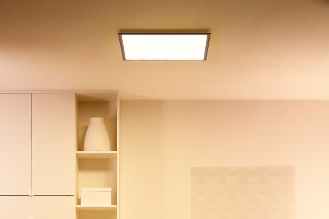 WiZ loftslampe 929003241701