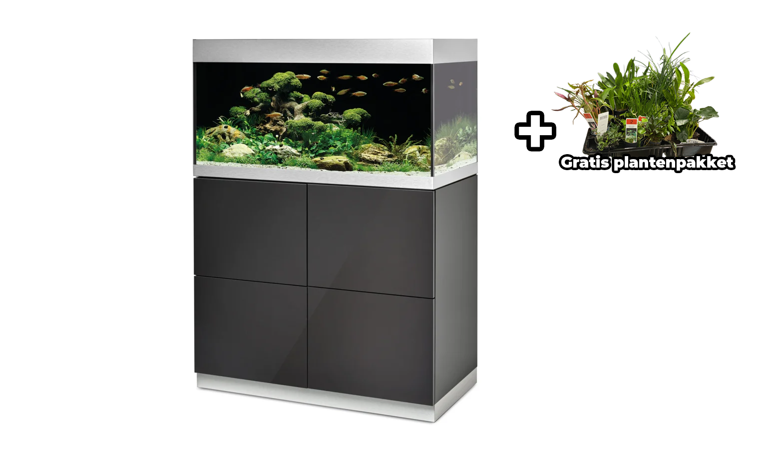 Oase HighLine Optiwhite 200 Set Antraciet | Aquaria