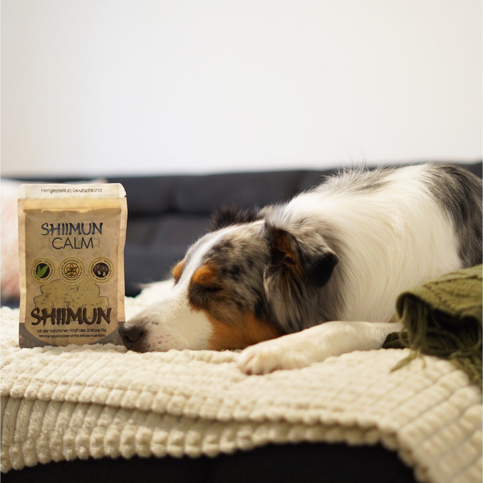 Marsapet Nahrungsergänzungs für Hunde und Katzen mit Shiitake - Shiimun Calm Pulver
