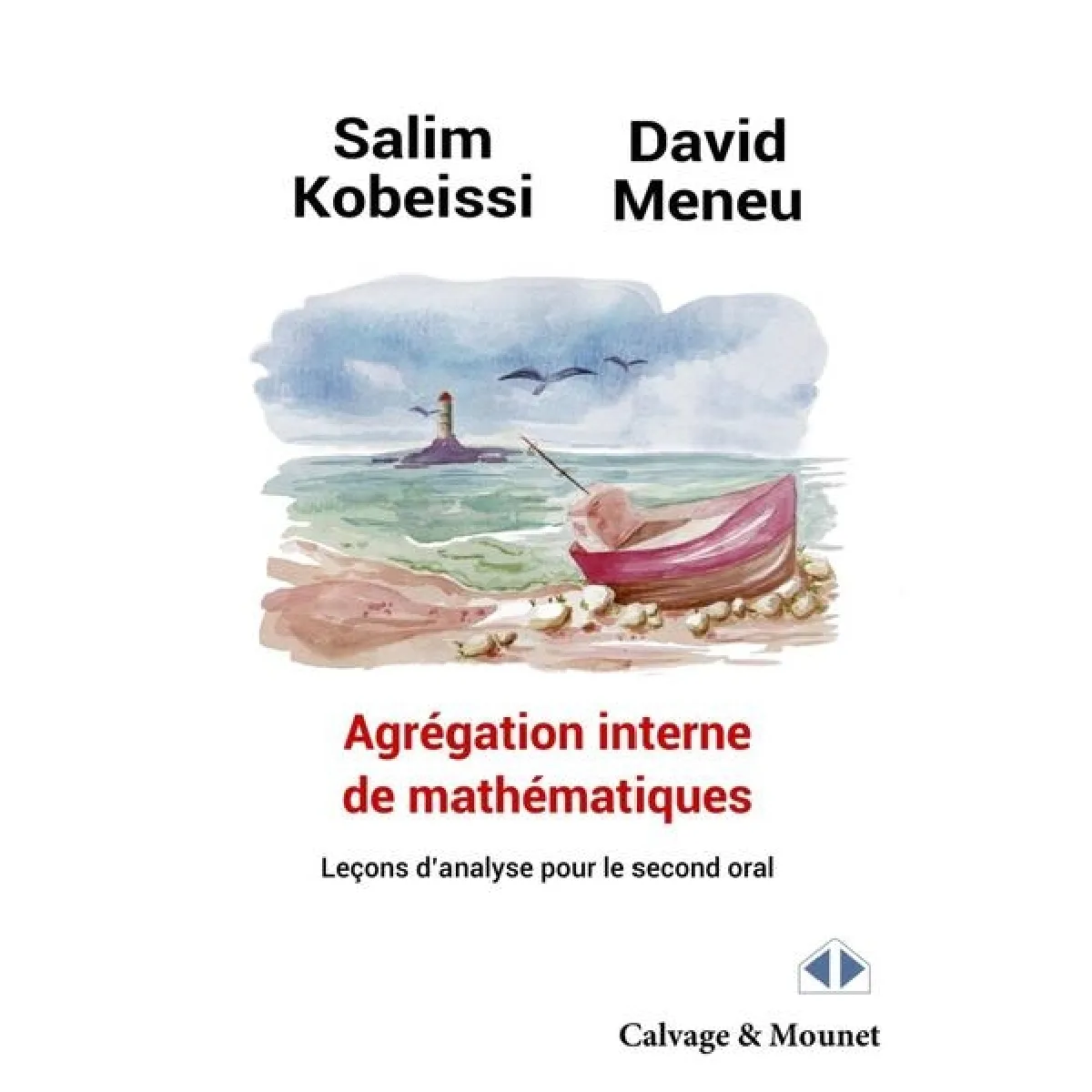 Agrégation interne de mathématiques : leçons d'analyse pour le second oral