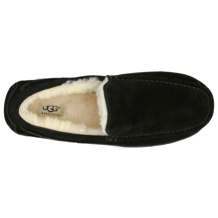 UGG Ascot Pantoffels Heren