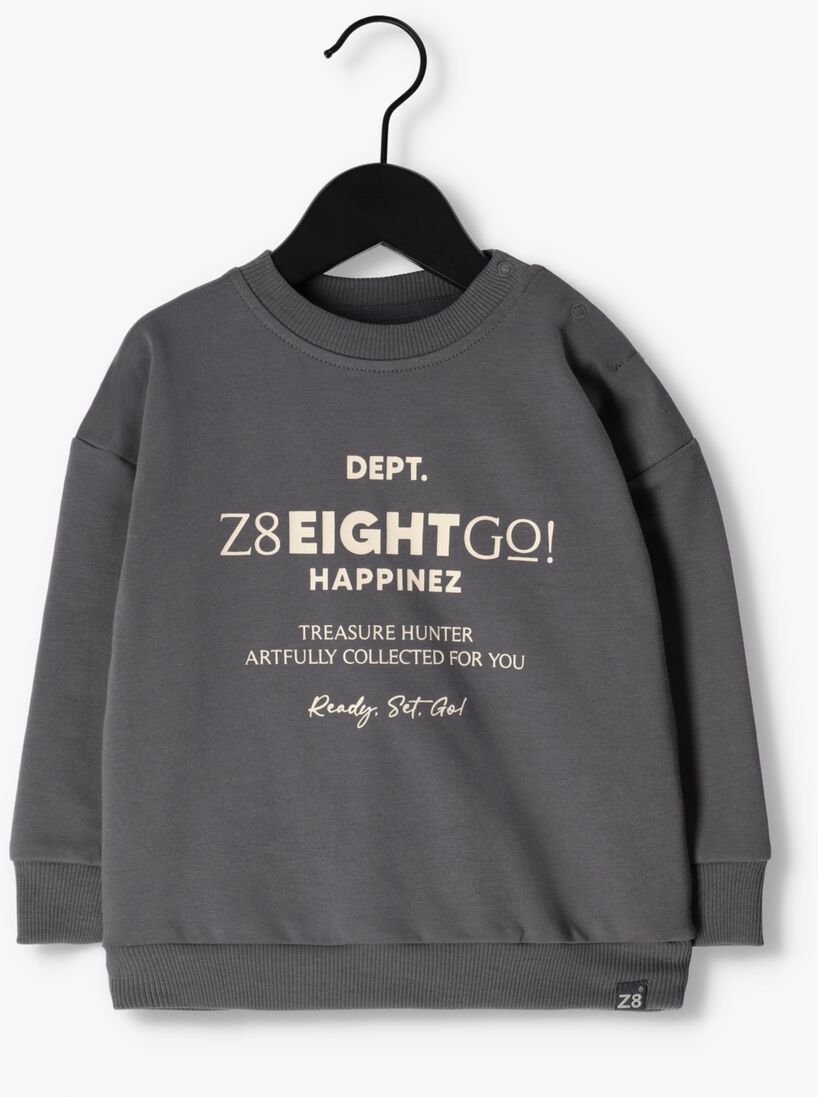 Z8 grijze z8 sweater taio