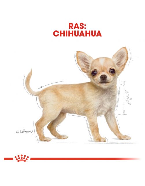 Royal Canin Chihuahua - Puppy-Hondenvoer