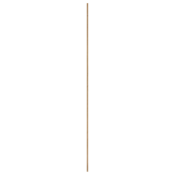 Verbindingslat eiken 19x60 mm 250 cm