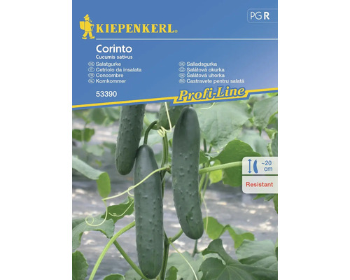 Corinto Kiepenkerl hybride komkommerzaden, groentezaden