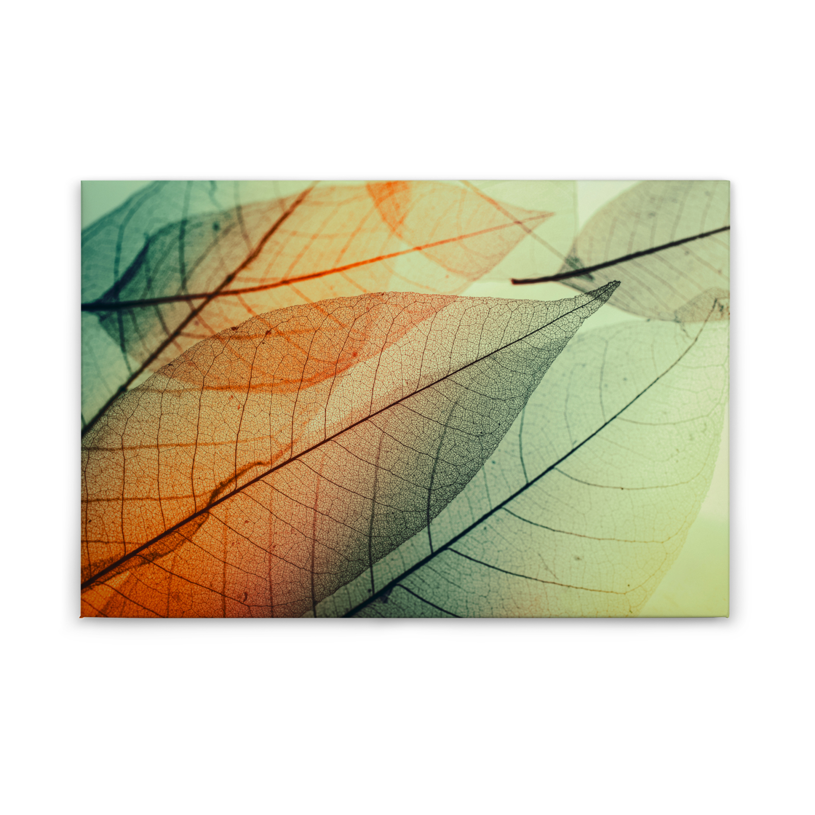 Leinwandbild BLATT - grün-orange - 90x60 cm
