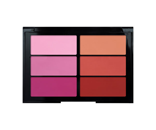 Viseart - Blush Palette