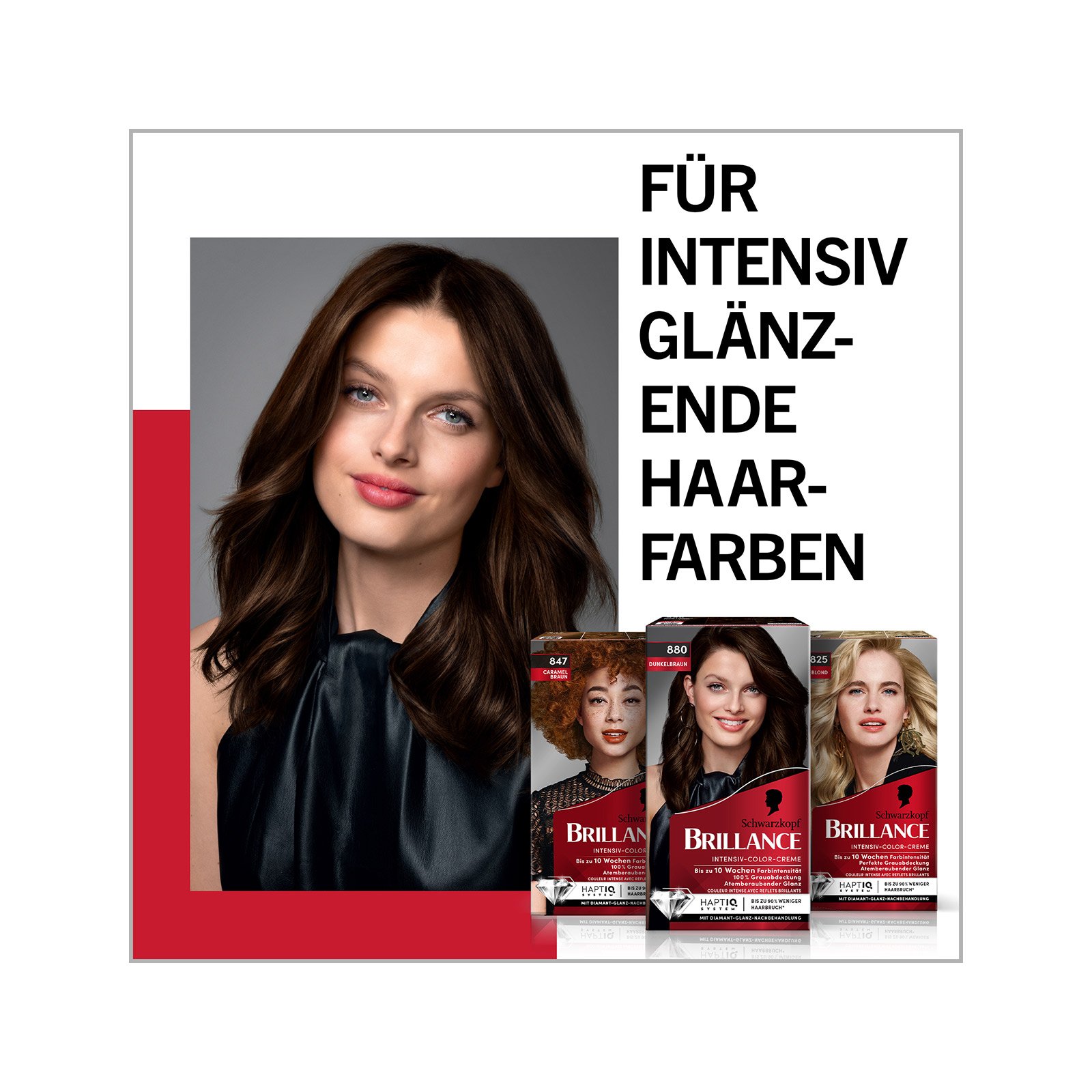 Schwarzkopf Brillance 874 Samtbraun