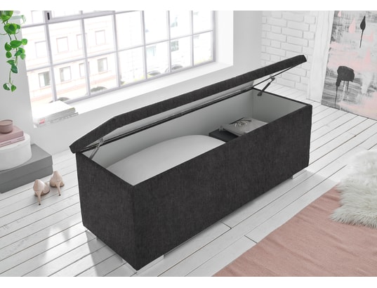 CONCEPT1 - Bout de lit Coffre Chest en Thor 19 Anthracite
