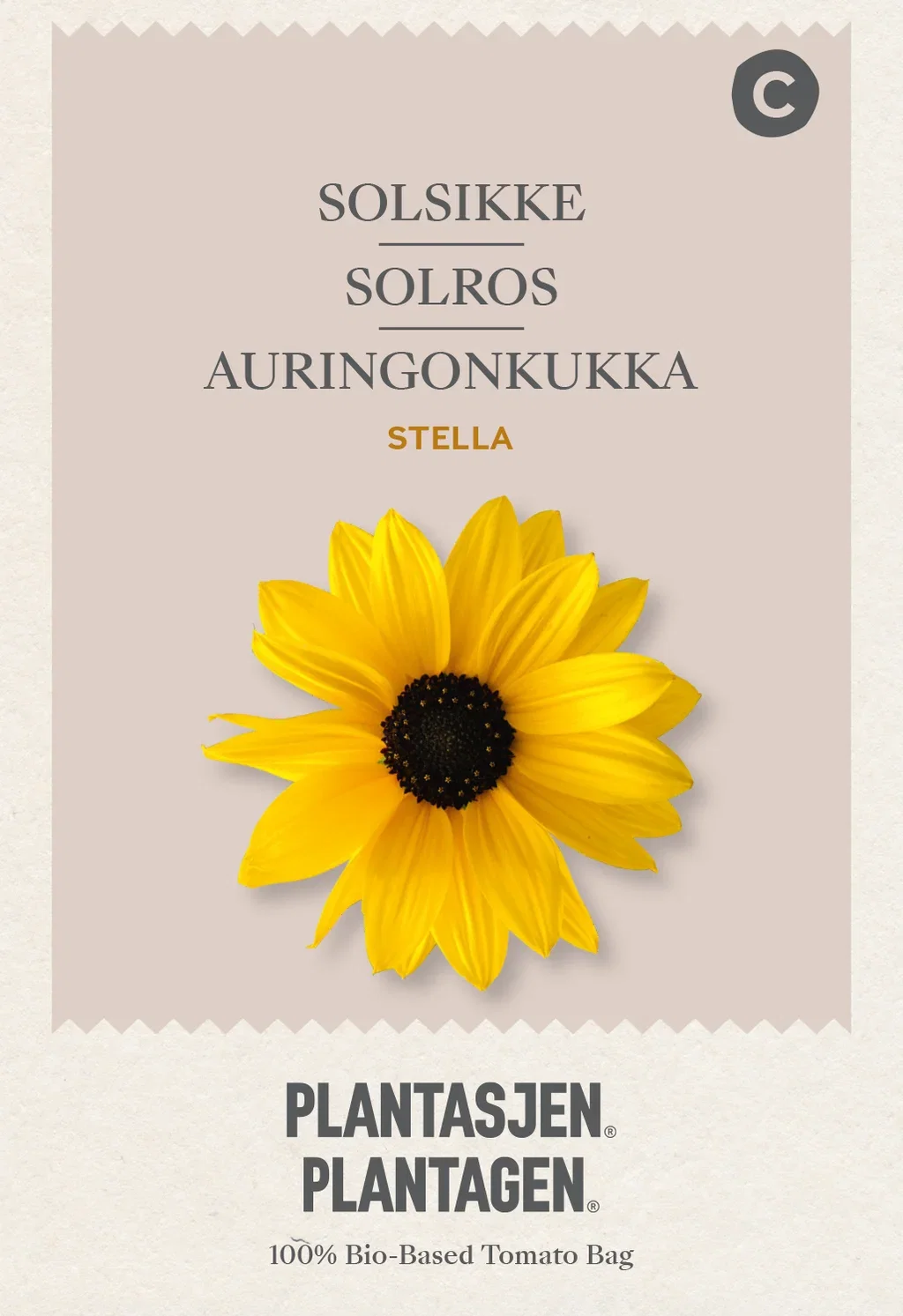 Helianthus debilis Solsikke Stella