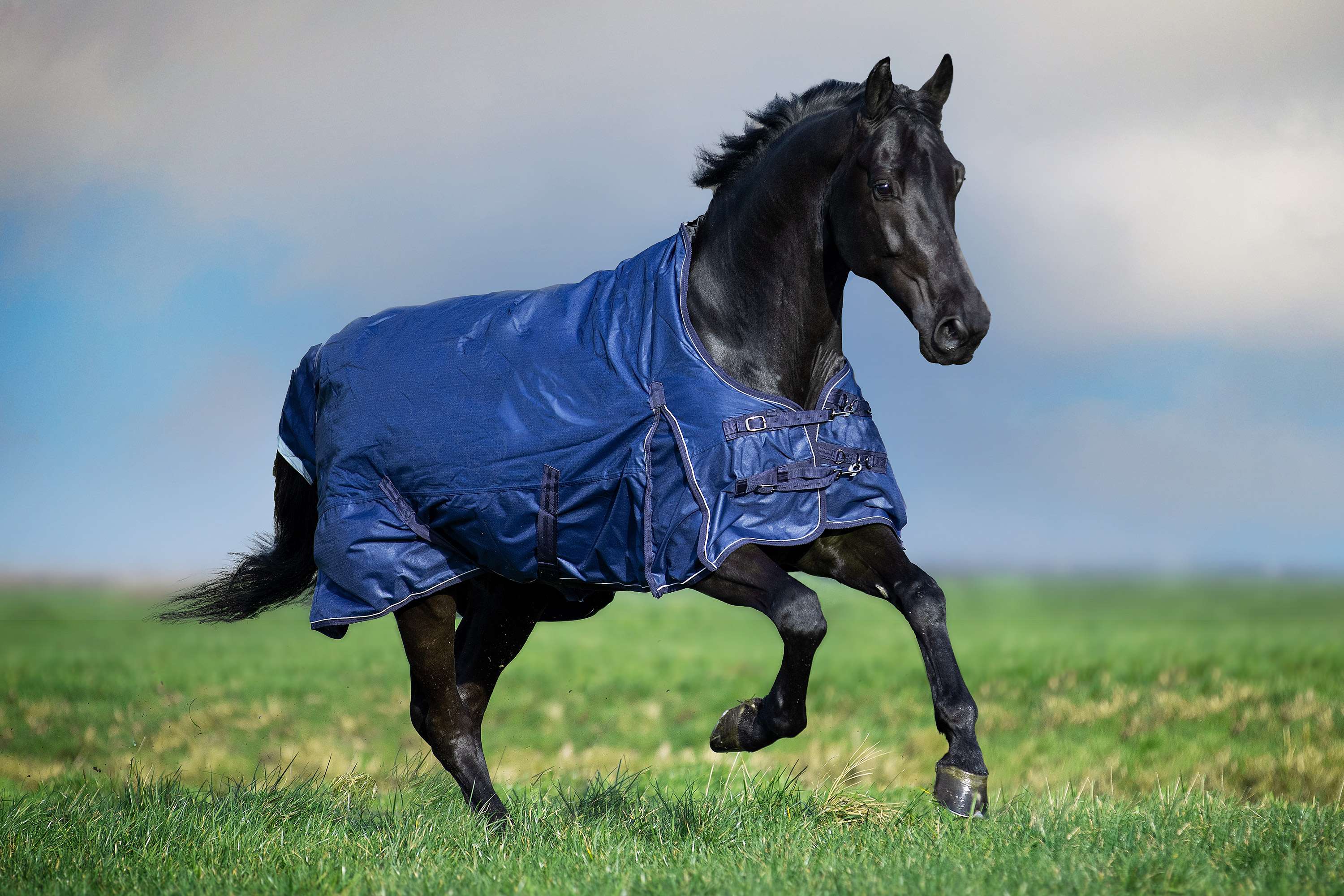 Imperial Riding Outdoordeken IRHSuper-Dry 200g Navy