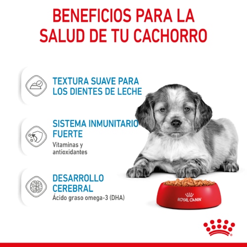 Envelopes Royal Canin para Filhotes de Porte Médio
