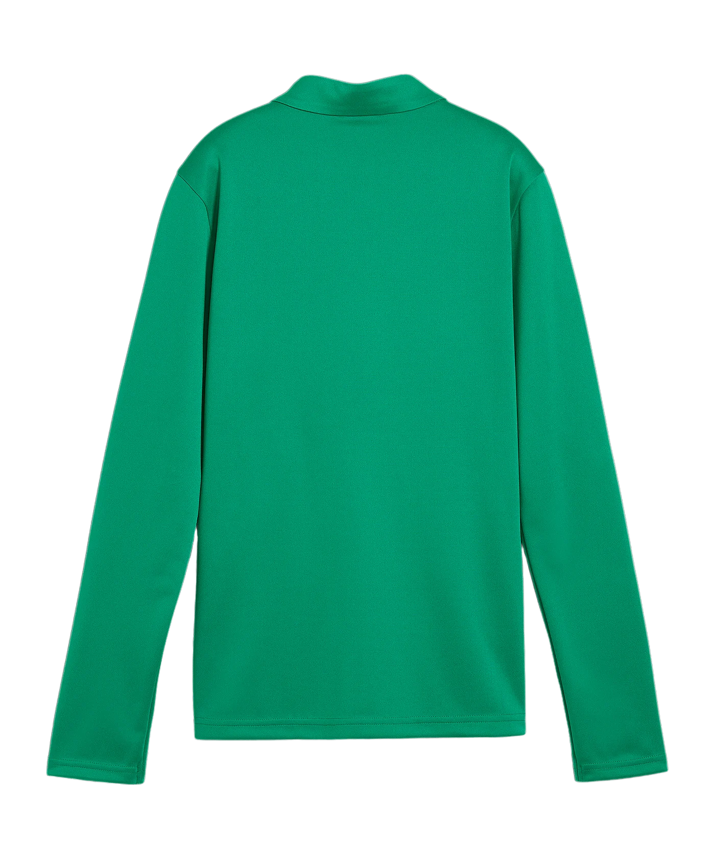 PUMA teamGOAL Trainingsjacke Damen Grün F05