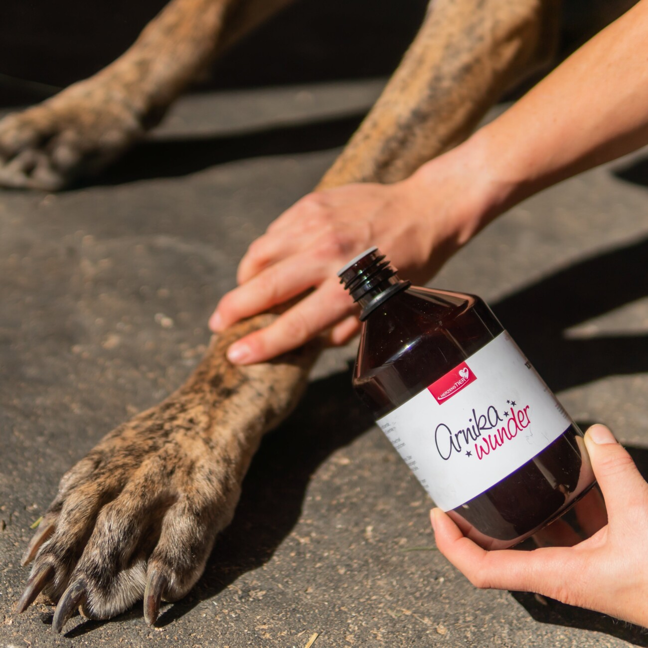 HerzensTier Arnikawunder 500ml