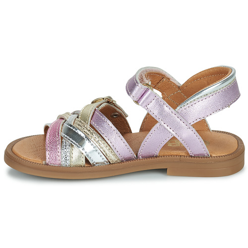 GBB - NATH - Rose