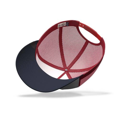 Gorra, o rosto indiano, nascido para navegar.