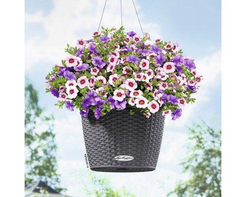 Lechuza Nido Cottage hangpot, kunststof, Ø 27 cm, H 23 cm, granieten afwerking, inclusief zelfbewateringssysteem en waterniveau-indicator