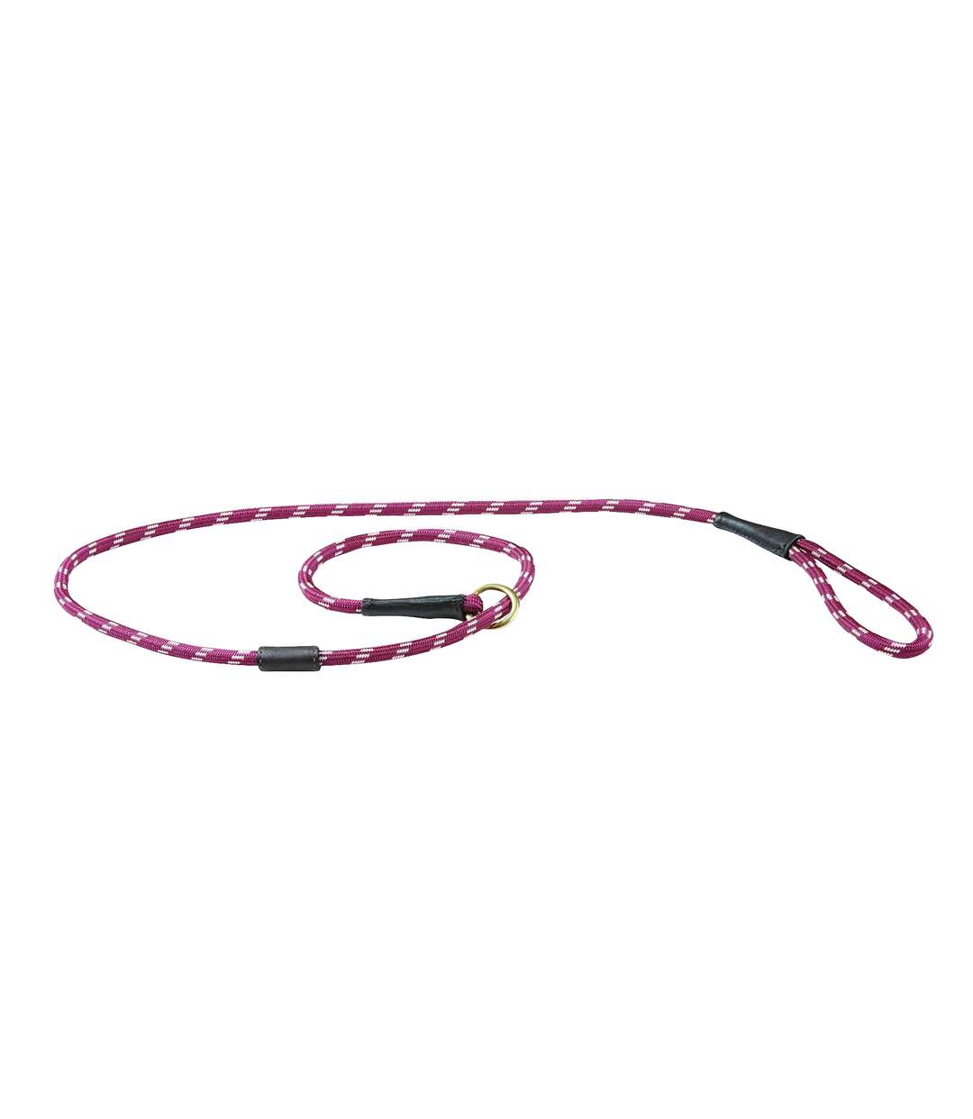 Weatherbeeta - Laisse - Chien (Rouge/ marron) (1.8 m) - UTWB1345