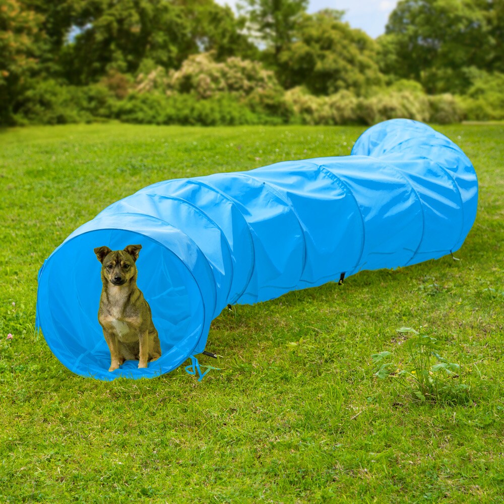 tectake® Hundetunnel, schneller und flexibler Aufbau, mit Transporttasche, 500 x 60 cm