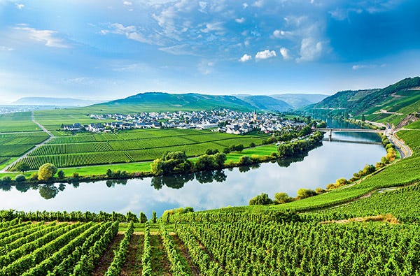 Weinbergwanderung Ediger-Eller als Geschenk