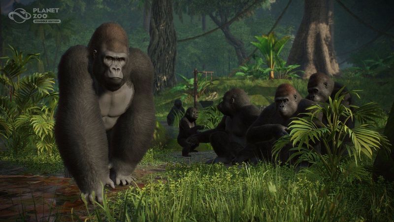Planet Zoo - Console Edition - PlayStation 5 - Dierentuinsimulator