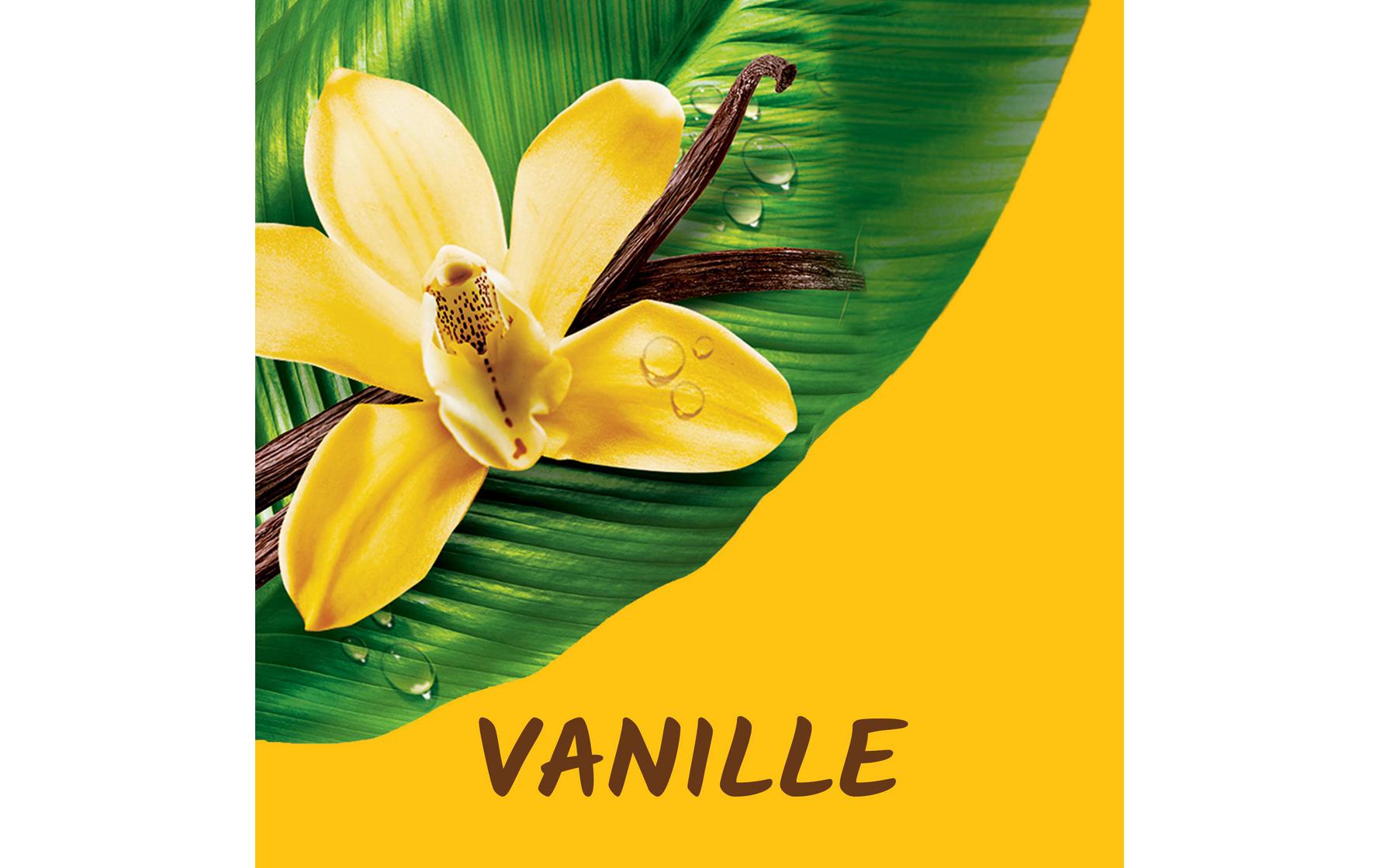 Duschgel Vanille 500 mlFeuchtigkeitsspendende Pflegedusche mit Vanille-Extrakt