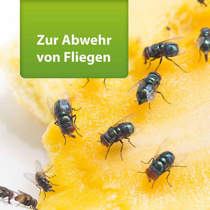Ardap Repell Fliegenspray, 400 ml