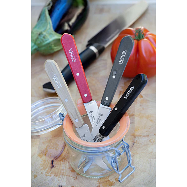 Coffret 4 couteaux Essentiels Loft Opinel
