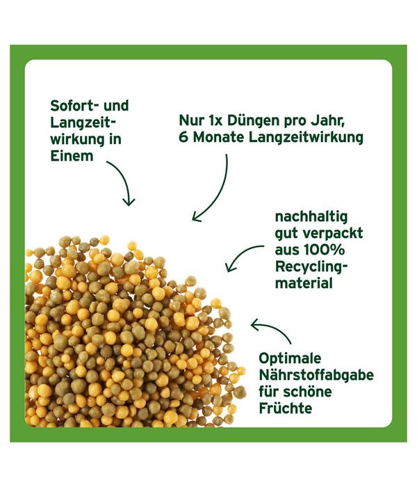 Substral® Langzeit Depotdünger für Zitrus-