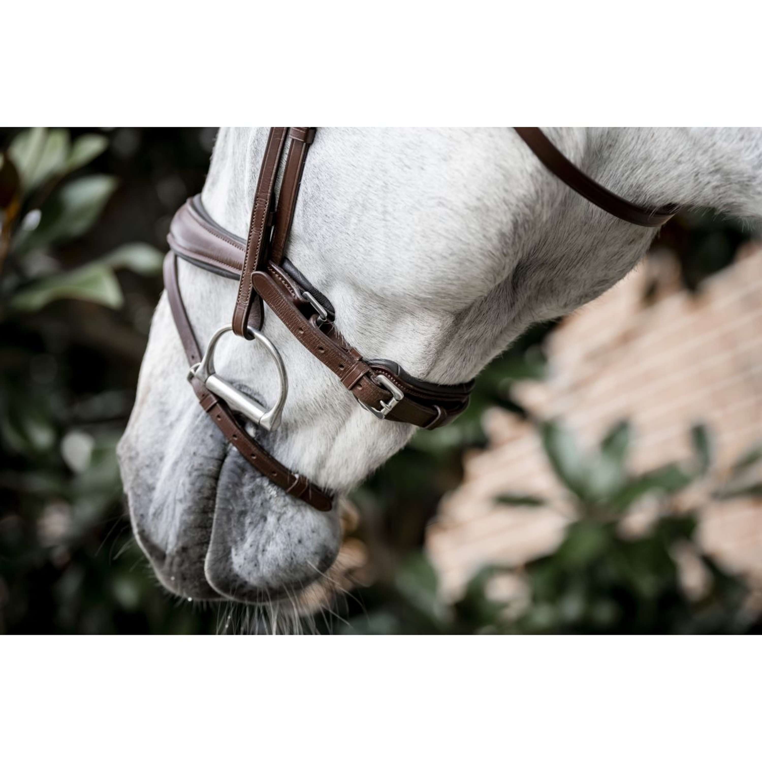 Horseware Hoofdstel Dressage Bruin