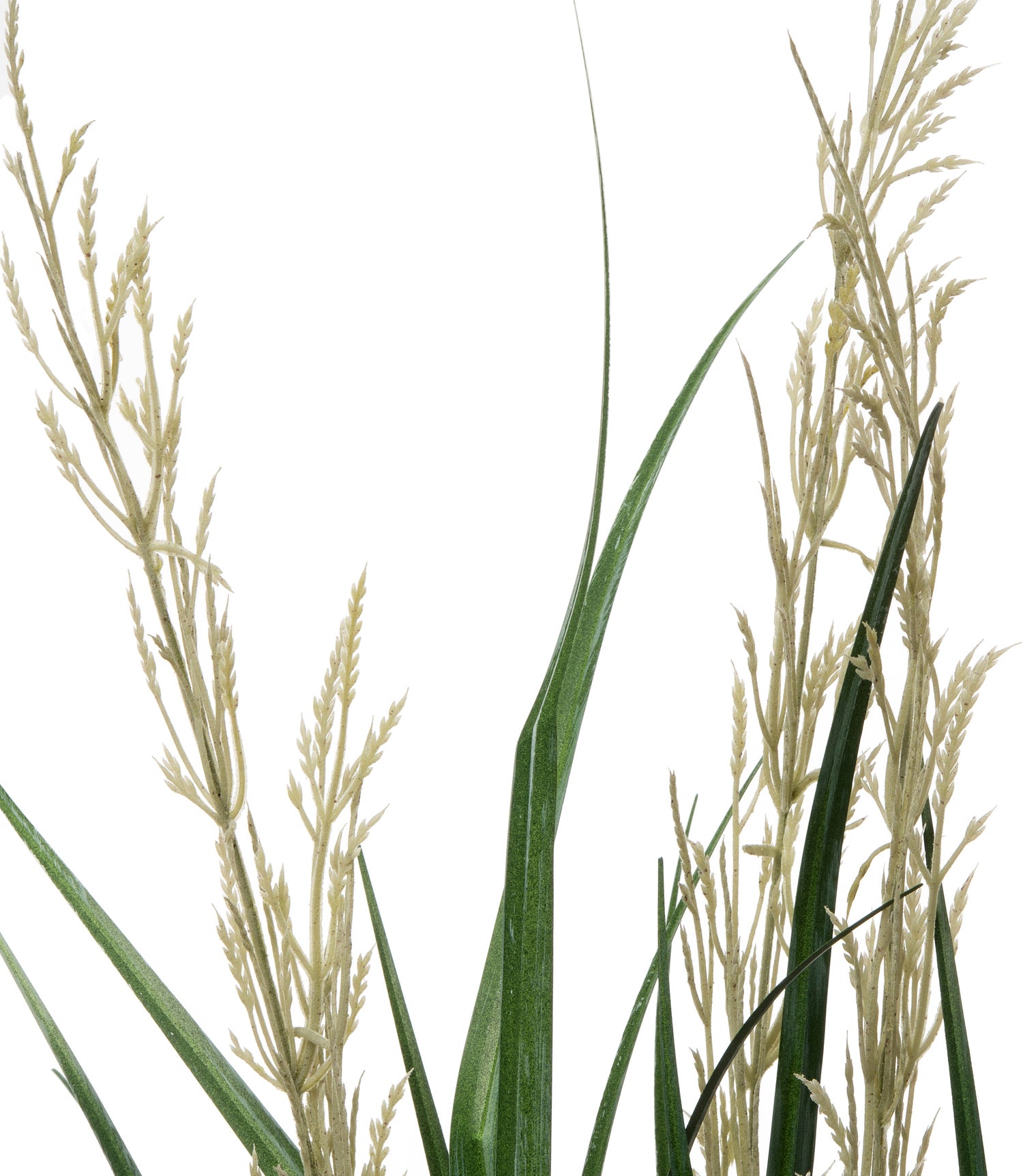 Intratuin kunstplant Miscanthus D 33 H 90 cm