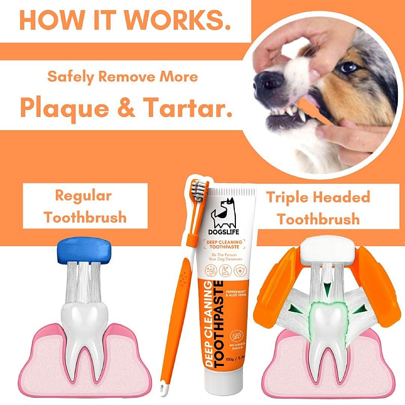 OurDogsLife Dental Kit Hond | 13001