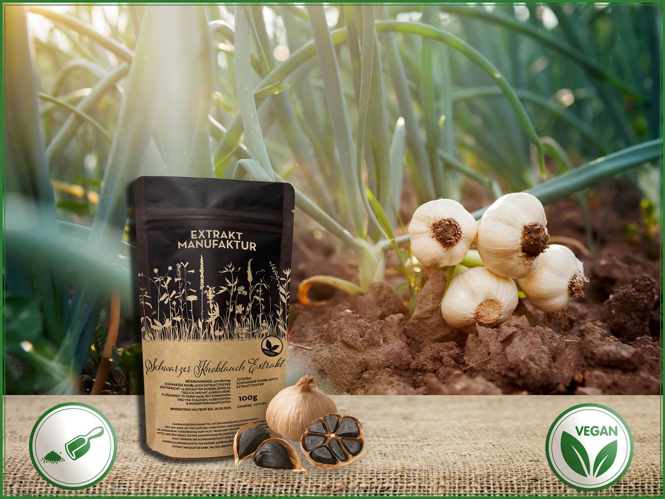 Extrakt Manufaktur Schwarzer Knoblauch Extrakt Pulver