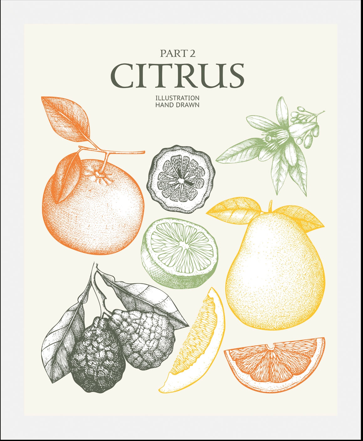 queence Bild »Citrus« Essen | Italien | Kunst | Lebensmittel | Obst | Obst Bilder | Schriftzug | Spanien 1 Stk. tlg. gerahmt