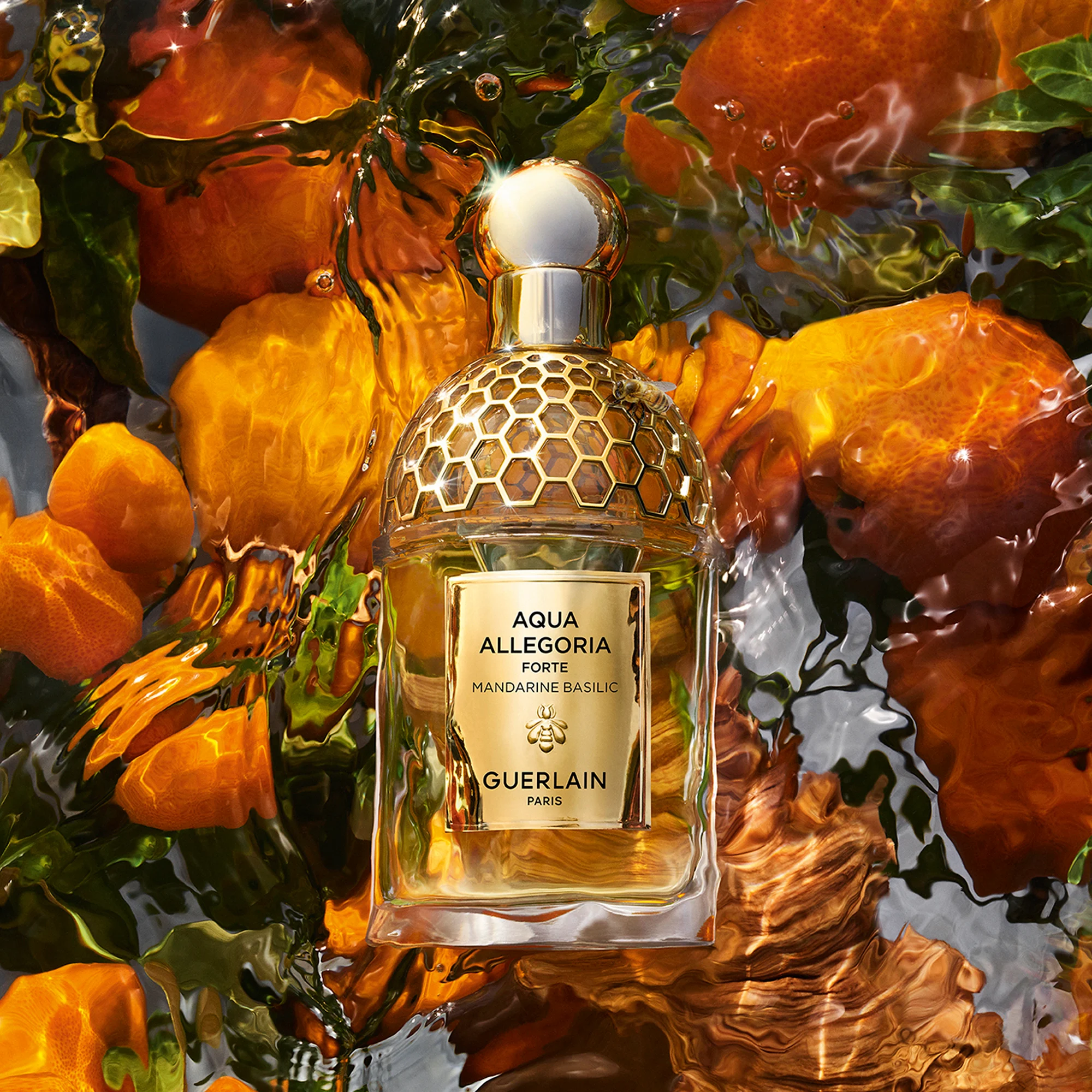 AQUA ALLEGORIA FORTE Mandarine Basilic - Eau de Parfum |