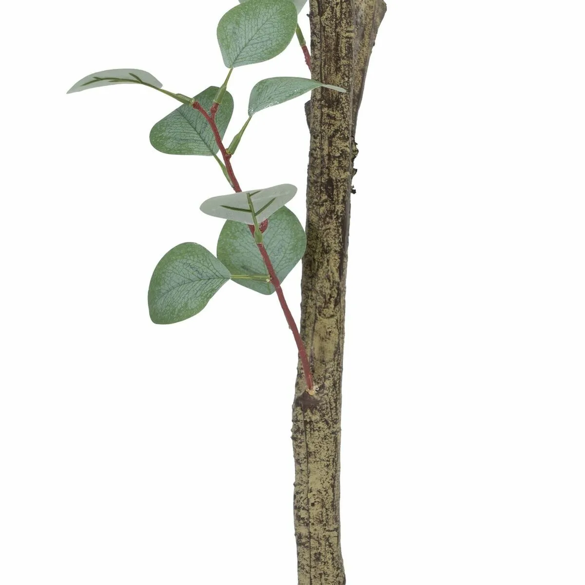 BigBuy Home Eucalyptus - H.180 cm